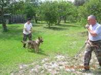 DAX GSD