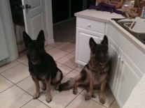 yetta and mya feb 17 2010p