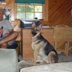 bezzy girl raised well